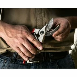 FELCO-Set FELCO 2 Einhand Baum Reb Garten-Schere + FELCO 500 Klappmesser 8 FELCO-Set FELCO 2 Einhand Baum Reb Garten-Schere + FELCO 500 Klappmesser -FELCO Shop 25819069 4