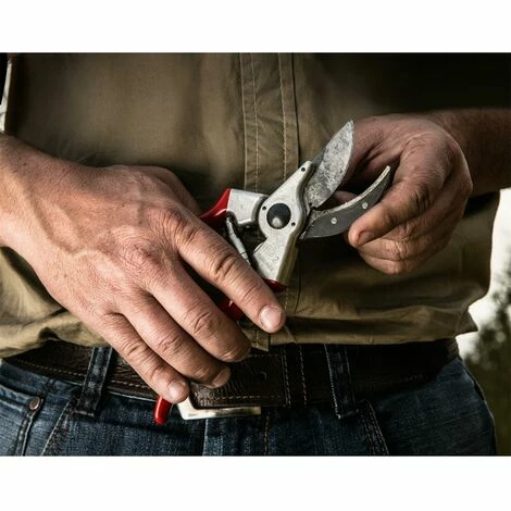 FELCO-Set FELCO 2 Einhand Baum Reb Garten-Schere + FELCO 500 Klappmesser 4 FELCO-Set FELCO 2 Einhand Baum Reb Garten-Schere + FELCO 500 Klappmesser – Bild 4