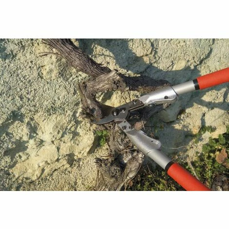 Felco 200A-40 Gartenschere Länge 40 Cm Schnitt-ø 35 Mm Baumschere Scharfe Klinge 4 Felco 200A-40 Gartenschere Länge 40 Cm Schnitt-ø 35 Mm Baumschere Scharfe Klinge – Bild 4