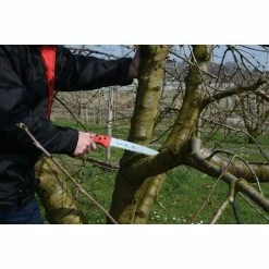 Felco 611 Säge Sägeblatt-Länge 33 Cm Astsäge Schnitt-ø 100 Mm, Länge 500 Mm 9 Felco 611 Säge Sägeblatt-Länge 33 Cm Astsäge Schnitt-ø 100 Mm, Länge 500 Mm -FELCO Shop 51906800 5