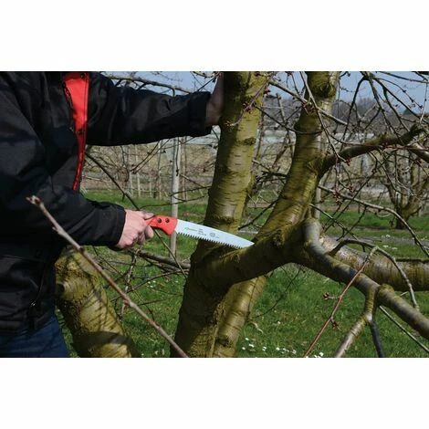 Felco 611 Säge Sägeblatt-Länge 33 Cm Astsäge Schnitt-ø 100 Mm, Länge 500 Mm 5 Felco 611 Säge Sägeblatt-Länge 33 Cm Astsäge Schnitt-ø 100 Mm, Länge 500 Mm – Bild 5