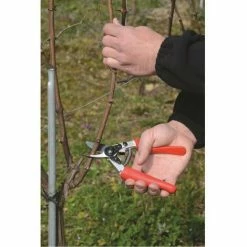 Alternative view of Baum-, Reb-, Gartenschere Felco 12