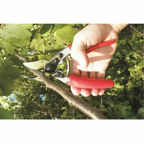 Baum-, Reb-, Gartenschere Felco 12 3 Baum-, Reb-, Gartenschere Felco 12 – Bild 3