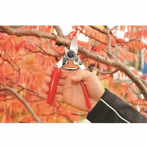 Baum-, Reb-, Gartenschere Felco 12 4 Baum-, Reb-, Gartenschere Felco 12 – Bild 4