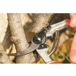 Alternative view of Baum-, Reb-, Gartenschere Felco 13